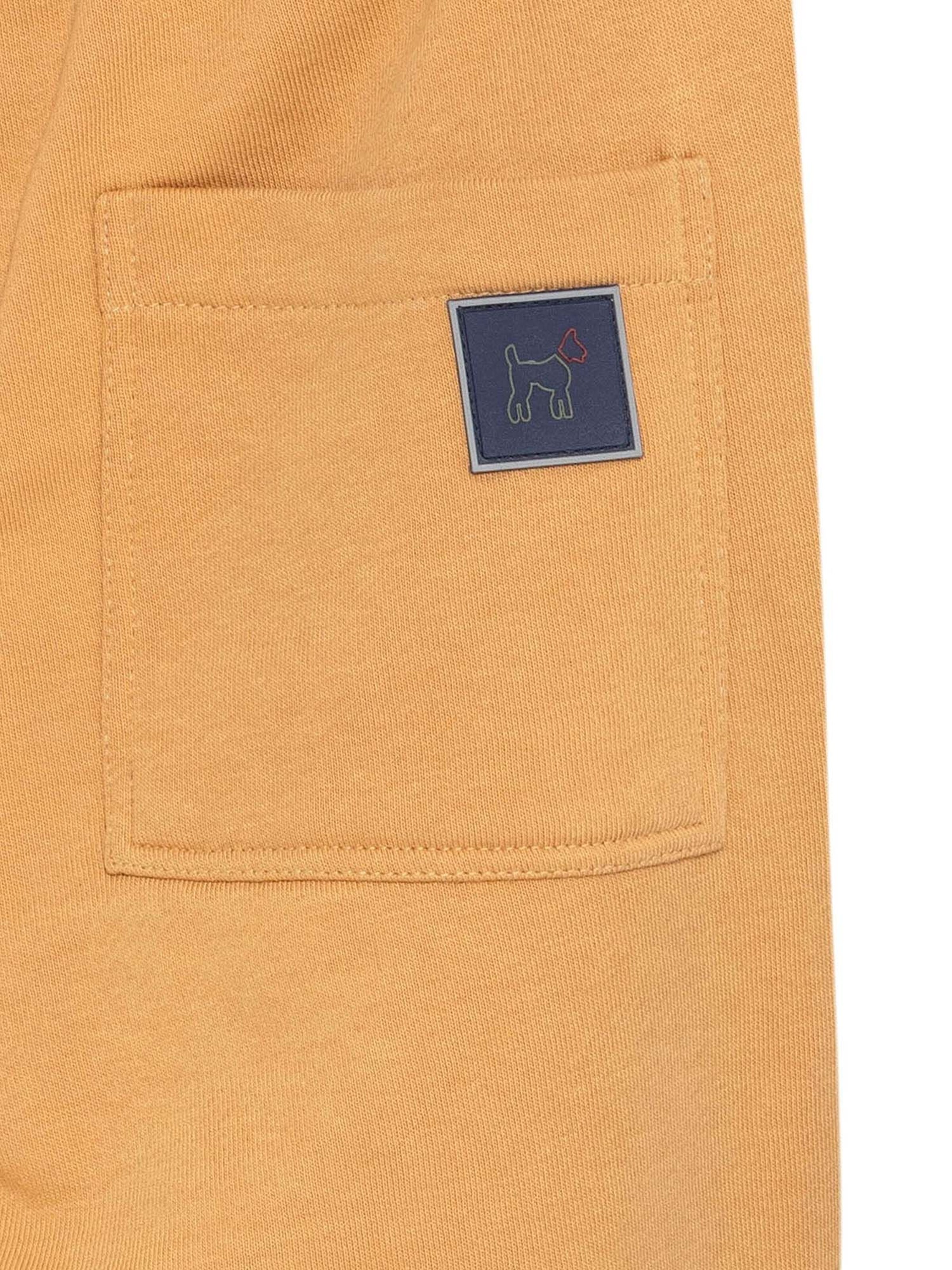 Williot Tapered Trousers in Brown