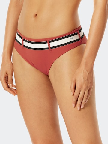 SCHIESSER Bikini Bottoms ' Aqua Californian Dream ' in Red: front