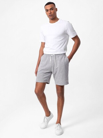 Dandalo Regular Trousers 'Fermo' in Grey