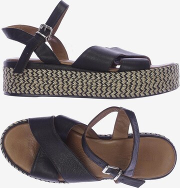 INUOVO Sandals & High-Heeled Sandals in 38 in Black: front