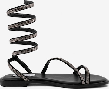STEVE MADDEN Strap Sandals 'Azaria' in Black