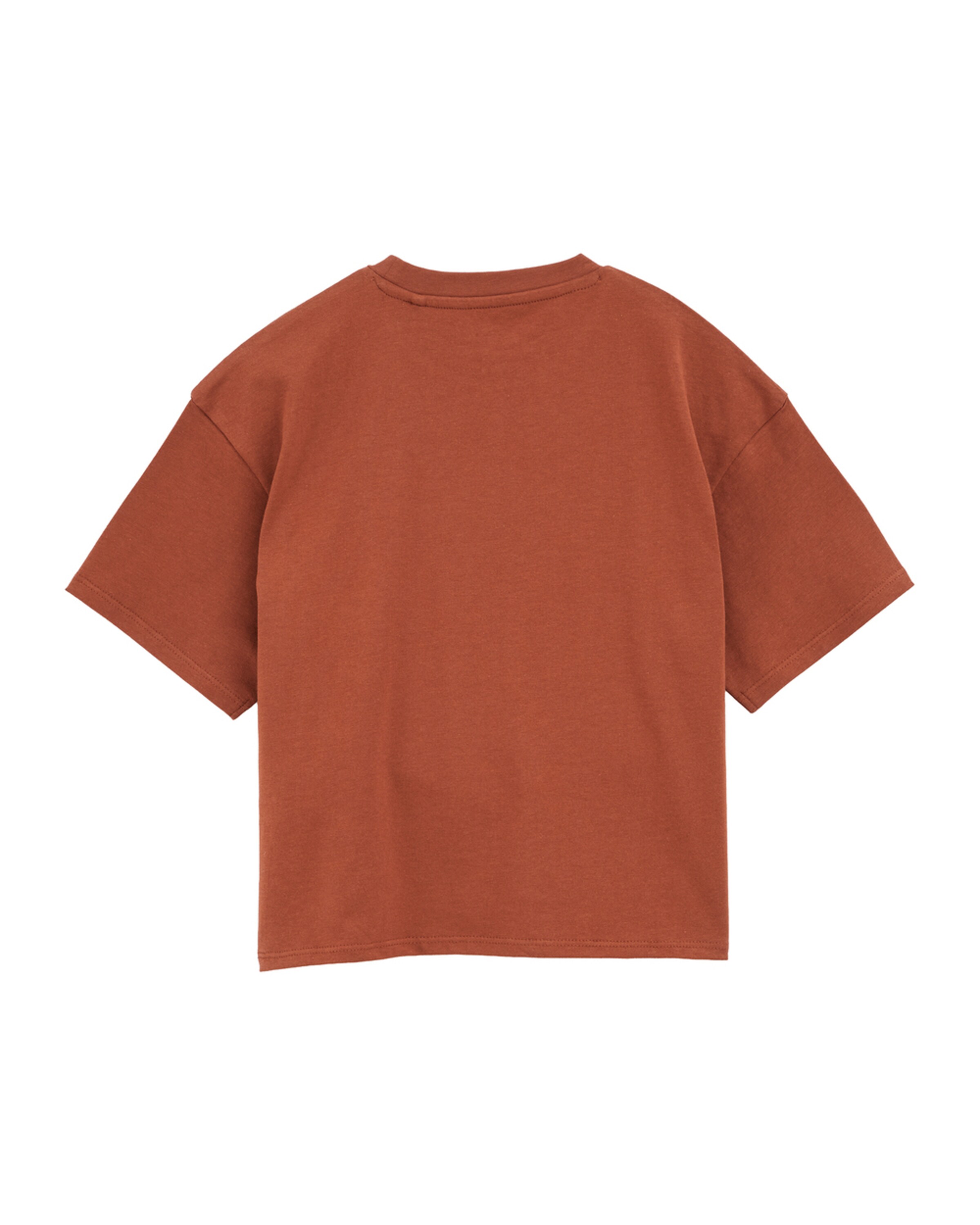 WE Fashion Shirt in Braun