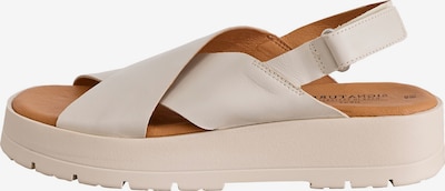 Sandale Next pe bej, Vizualizare produs