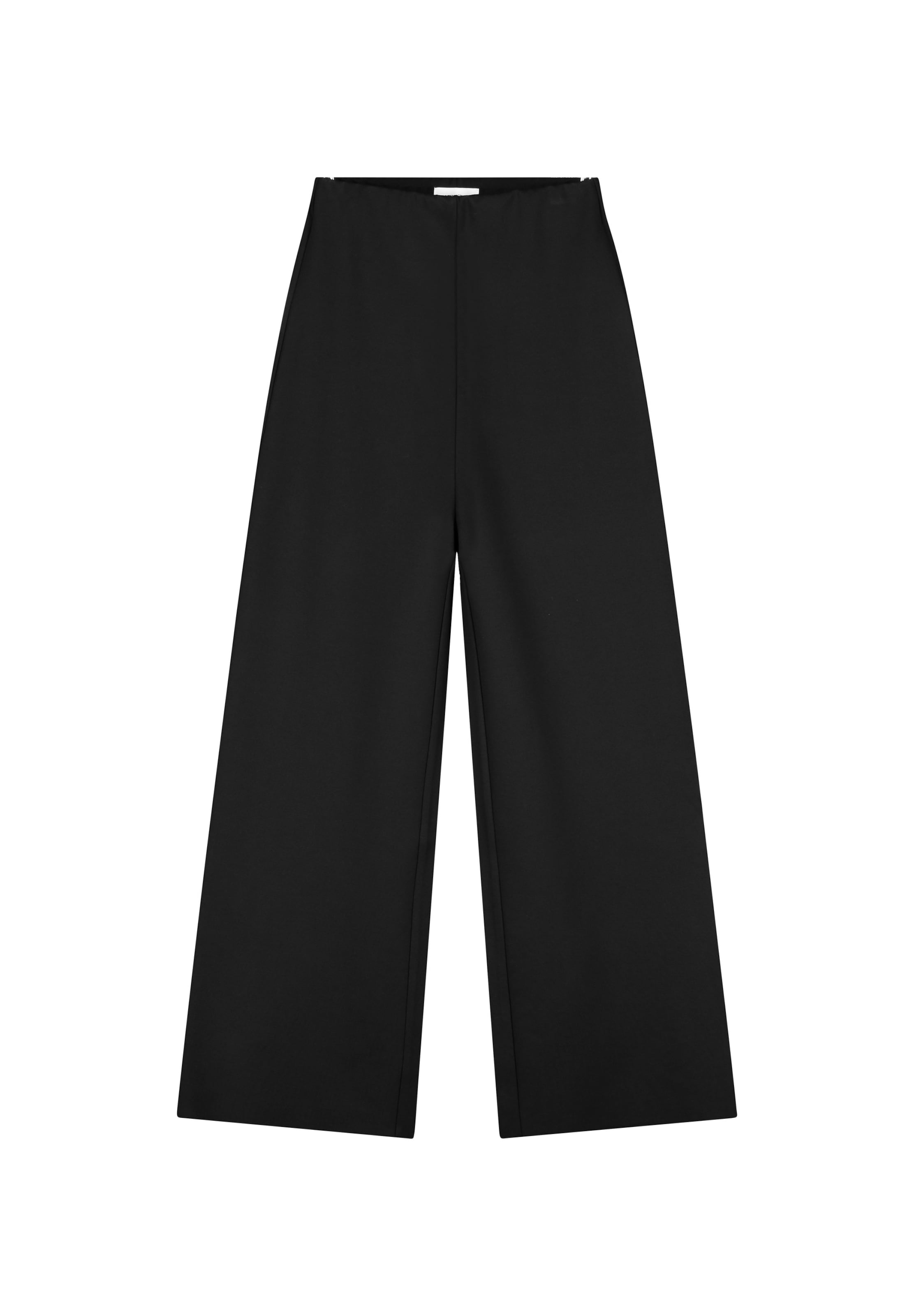 Fabienne Chapot Wide leg Pants in Black: front