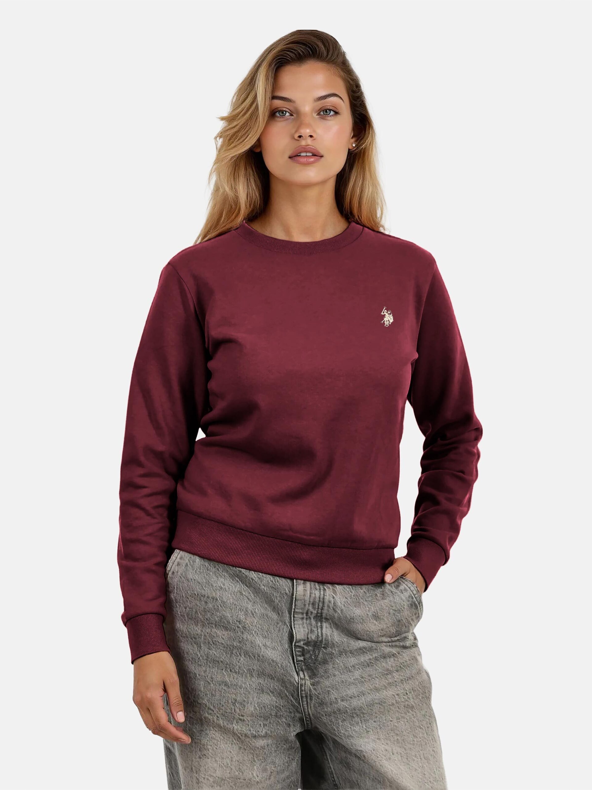 U.S. POLO ASSN. Sweatshirt in Lila: Vorderseite