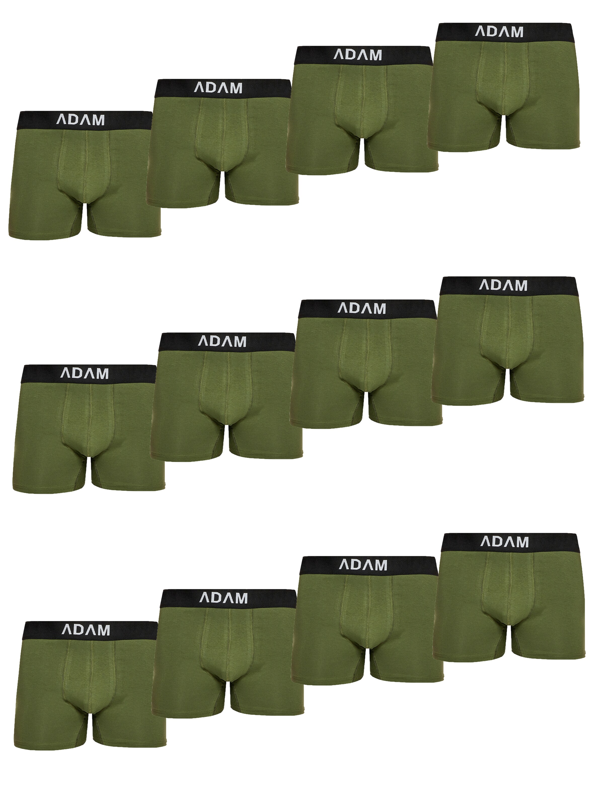 Adam Boxershorts '12er Pack'‌ in oliv, Produktansicht