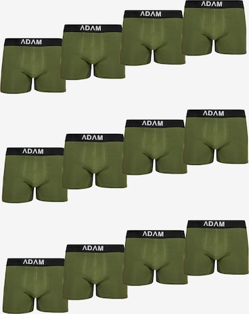 Adam Boxer shorts '12er Pack' in Green: front