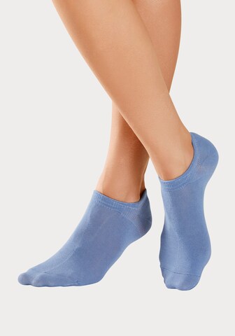 H.I.S Athletic Socks in Blue: front