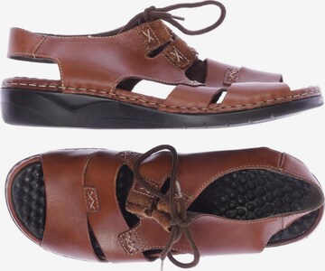 Rieker Sandalen 40 in Braun: predná strana