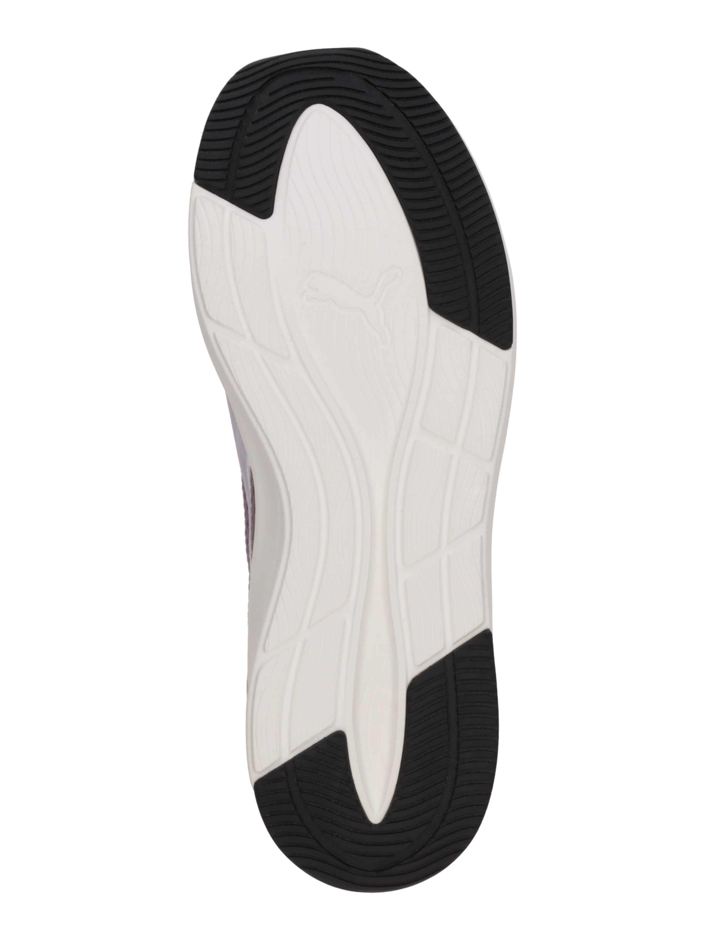 Chaussure de course 'Softride Harli' PUMA en violet