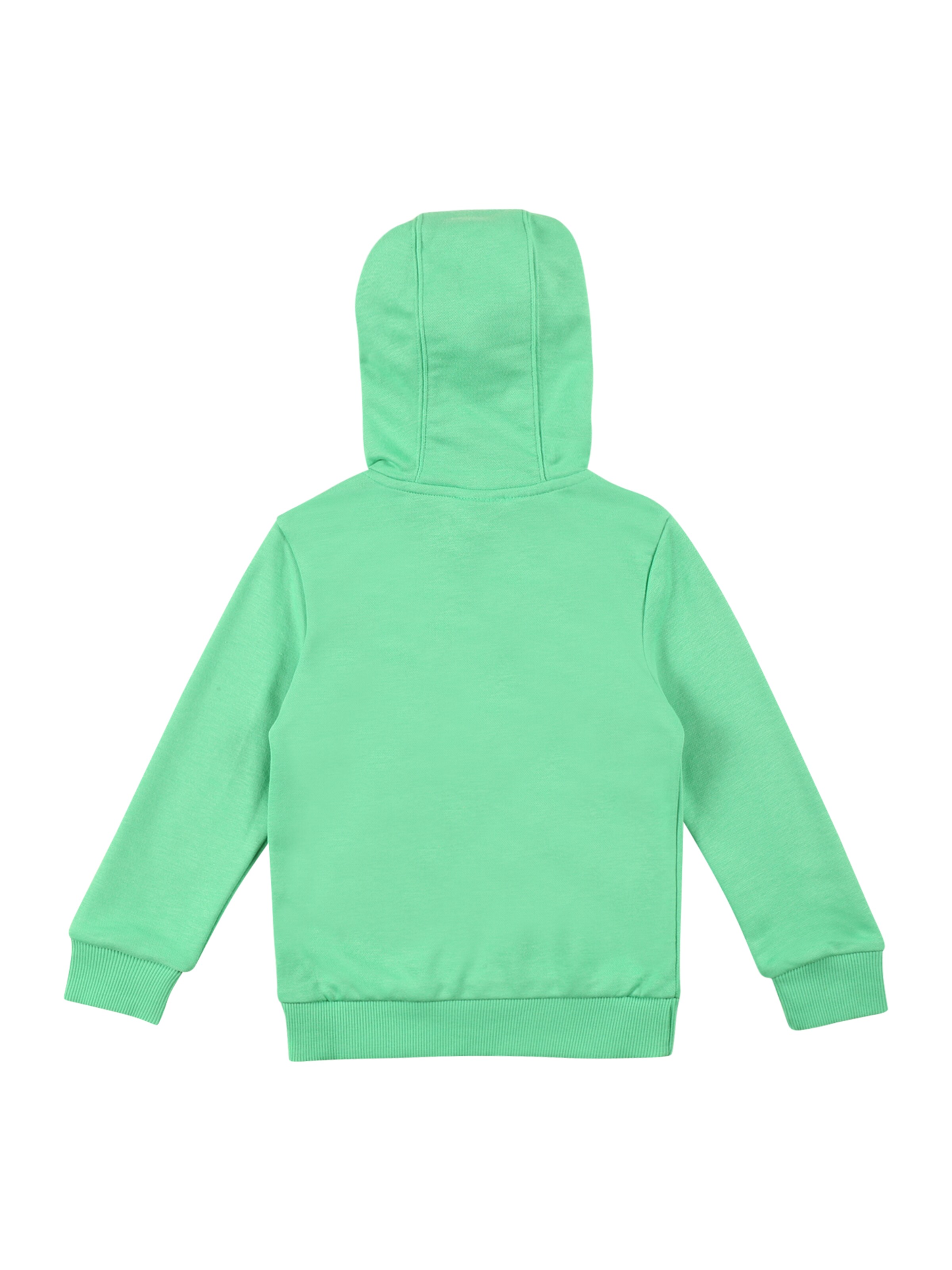 Kinder Teens (Gr. 140-176) ADIDAS PERFORMANCE Sportsweatshirt in Mint - CQ22384 Kinder Teens (Gr. 140-176) ADIDAS PERFORMANCE Sportsweatshirt in Mint - CQ22384