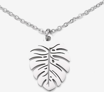 Heideman Necklace in Silver: front