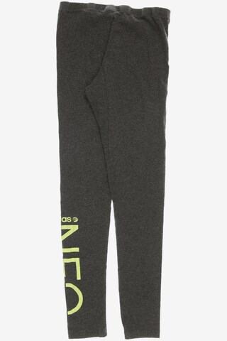 ADIDAS NEO Pants in XS in Grey