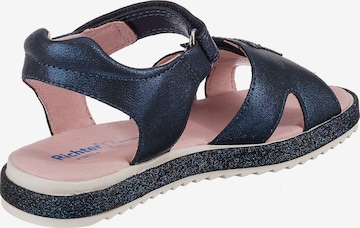 RICHTER Sandals in Blue