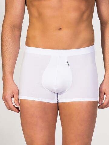 zd ZERO DEFECTS Boxershorts 'Ikaria Trunk' in Weiß: Vorderseite