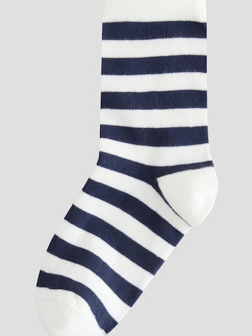 Next Socks in Mixed colours