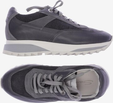 Santoni Sneakers & Trainers in 35,5 in Grey: front