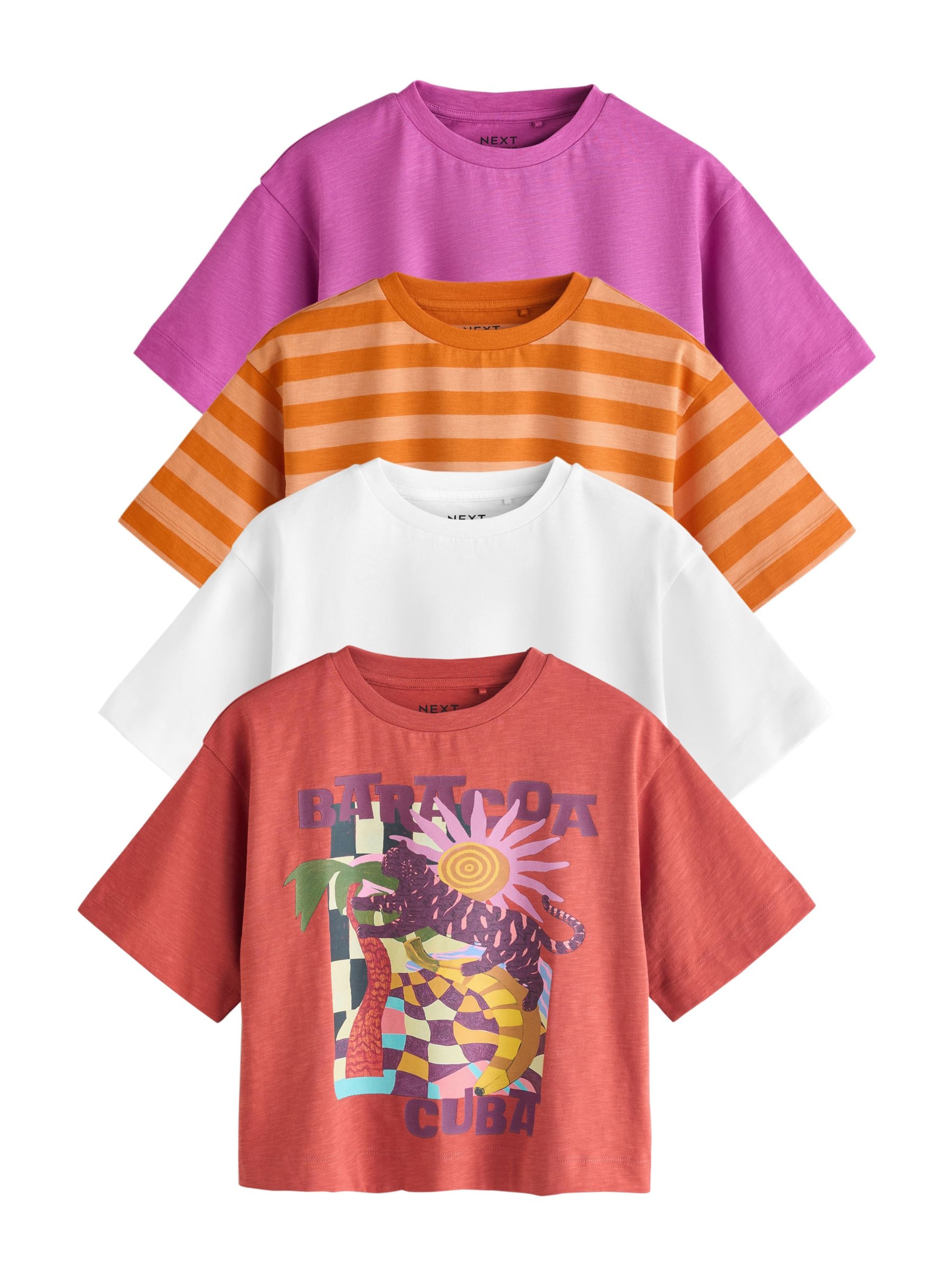 Next Shirt in Mixed colours: front