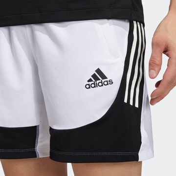 Regular Pantalon de sport ADIDAS SPORTSWEAR en blanc