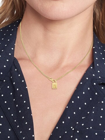 TOMMY HILFIGER Цепочка в Золотой: спереди