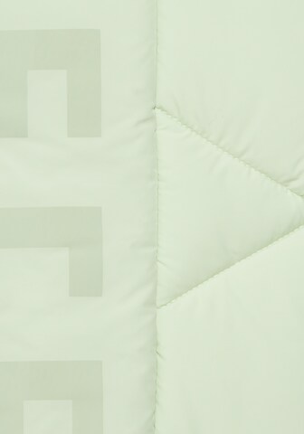 Elbsand Weste in Grün