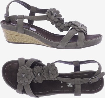 ARA Sandalen 39,5 in Grau: predná strana