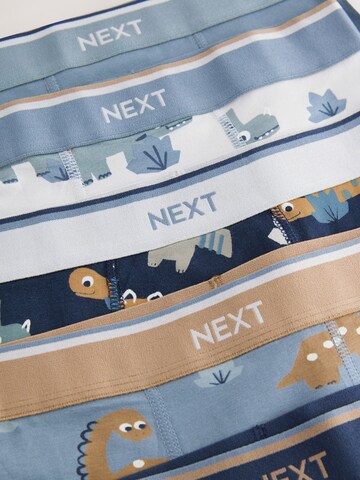 Pantaloncini intimi di Next in colori misti
