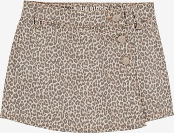 smėlio WE Fashion Sijonas: priekis