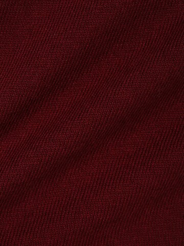 TOMMY HILFIGER Pulover | rdeča barva
