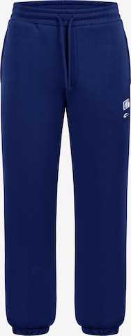 Smilodox Jogginghose Striver in Blau: Vorderseite
