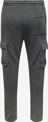 Regular Pantalon cargo 'JIMI' Only & Sons en gris