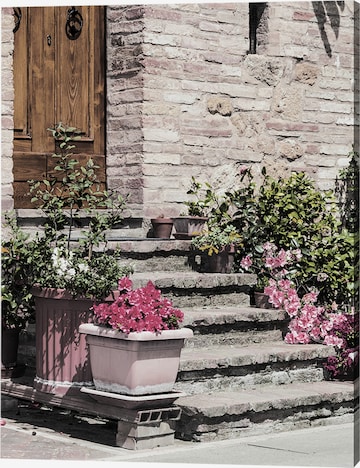 Liv Corday Image 'Potted Flowers' in White: front