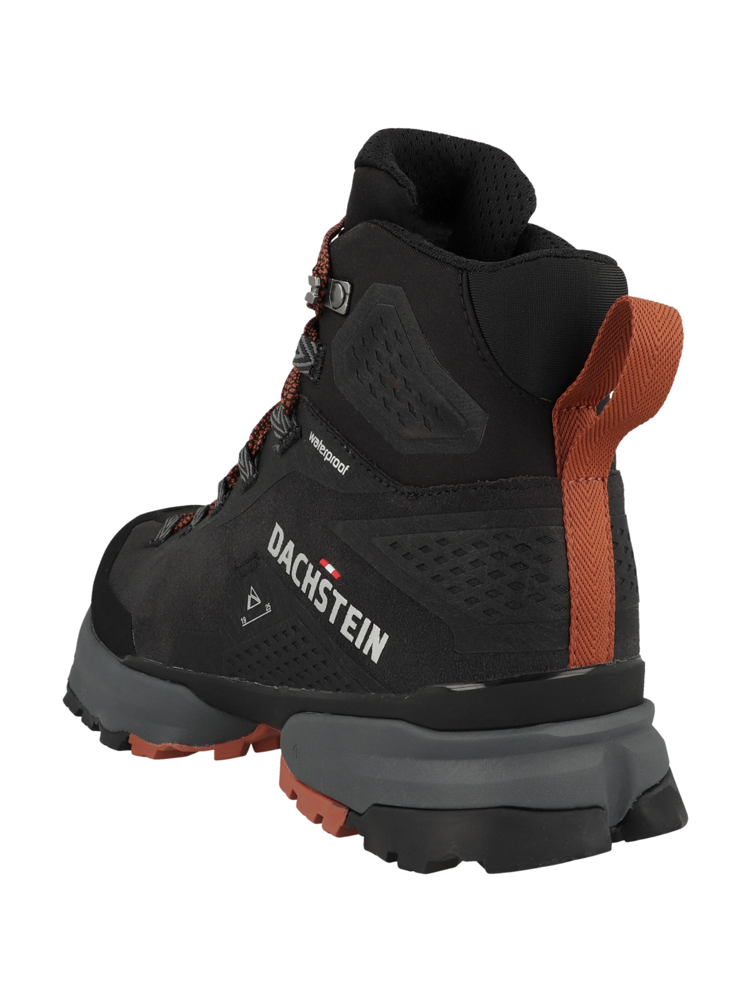 Dachstein Halbschuh' F Trek Guide' in Schwarz