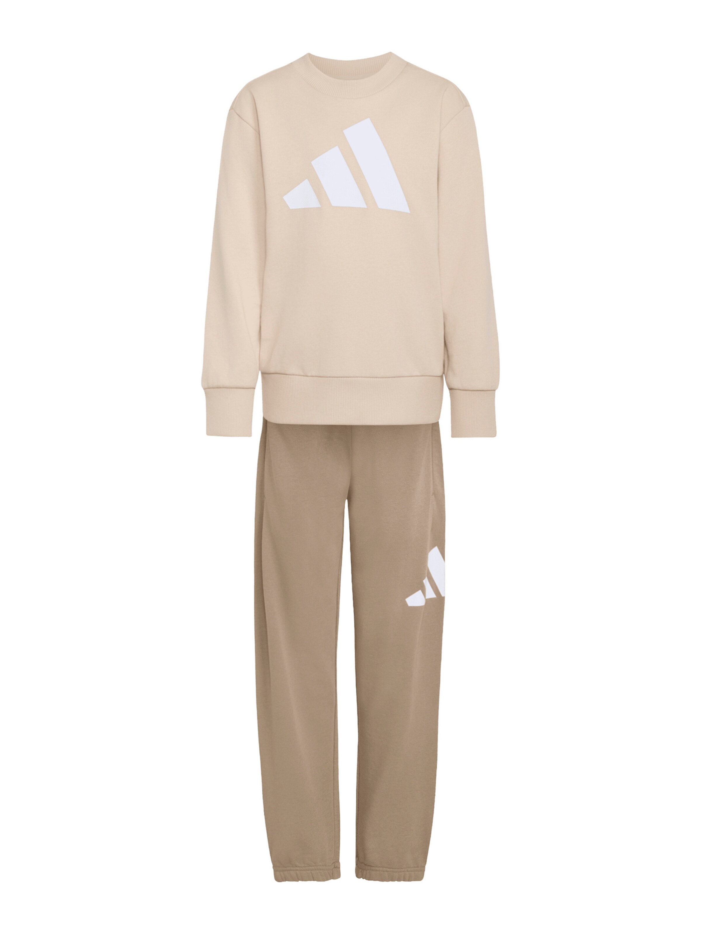 ADIDAS SPORTSWEAR Tracksuit in Grey: front