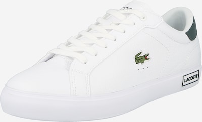 LACOSTE Sneaker in grün / weiß, Produktansicht