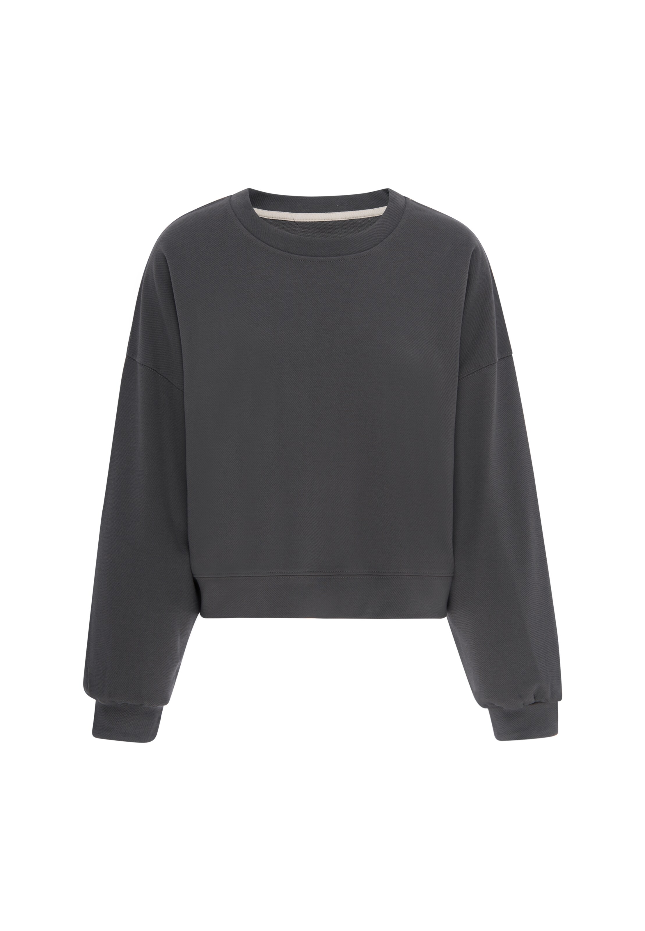 revend Sweatshirt in Grey: front