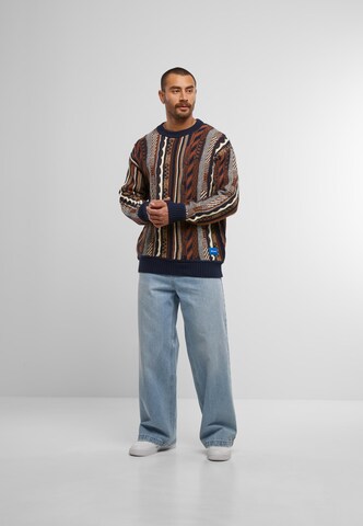 Colucci Pullover in Blau
