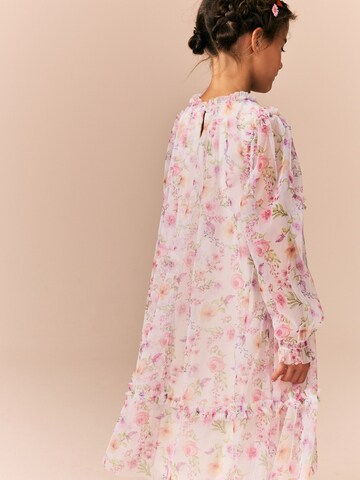 Next Dress in Pink