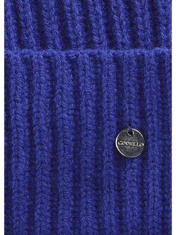 CODELLO Muts in Blauw