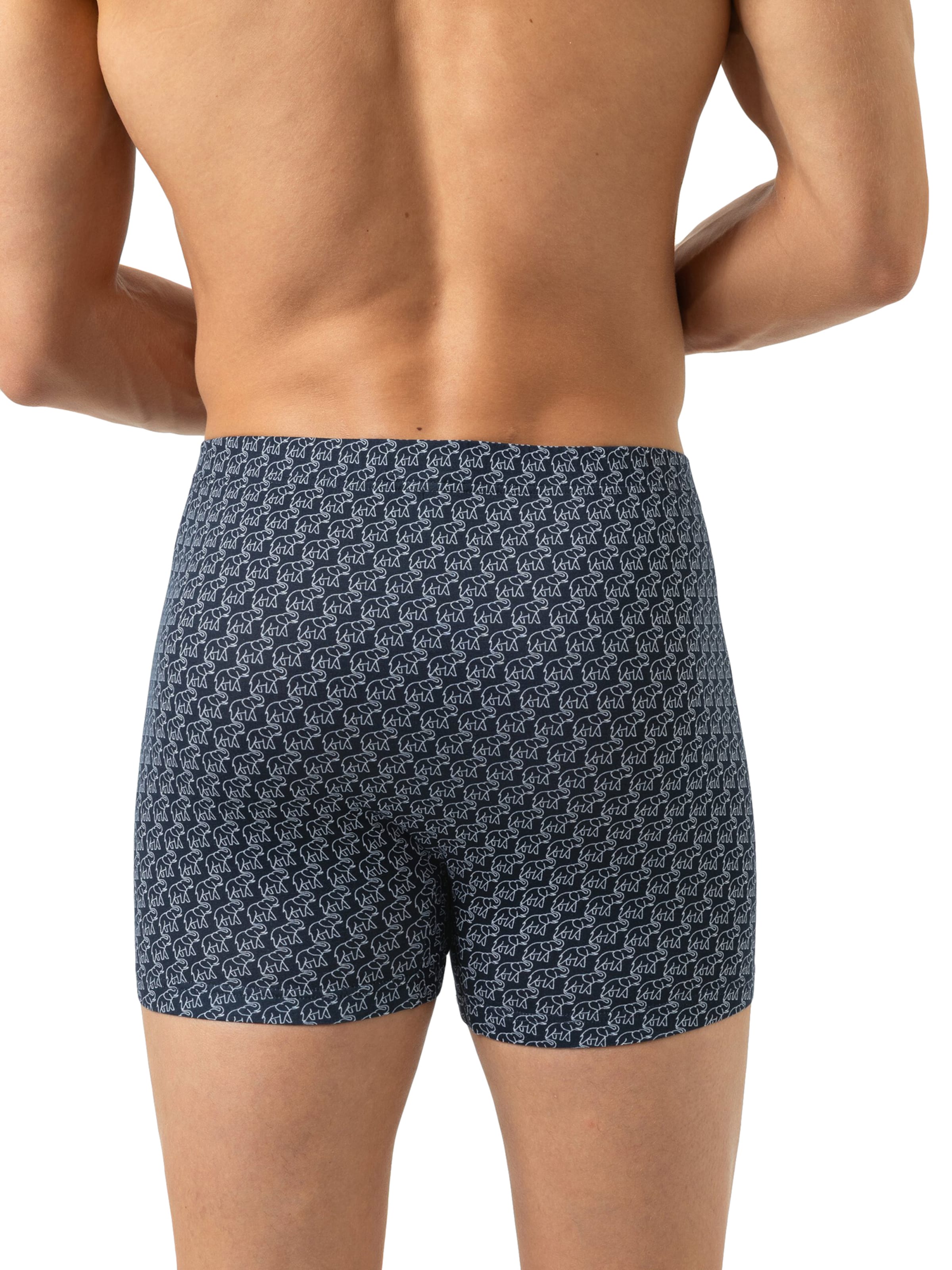 Mey Boxer shorts 'Elephant Walk' in Blue