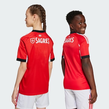 ADIDAS PERFORMANCE Functioneel shirt 'Benfica Lissabon 25/26' in Rood