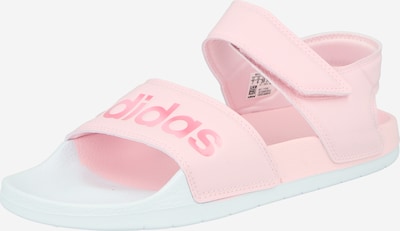 ADIDAS PERFORMANCE Ranna- ja ujumisjalats roosa, Tootevaade