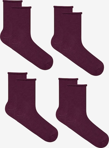 Albero Natur Socken 'Bio-Baumwoll-Socken mit Rollrand Unisex – 4er Pack' in Rot: Vorderseite