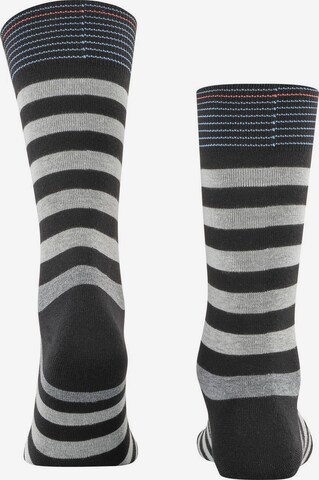 BURLINGTON Socks in Grey