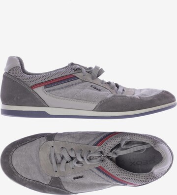 GEOX Sneaker 44 in Grau: predná strana