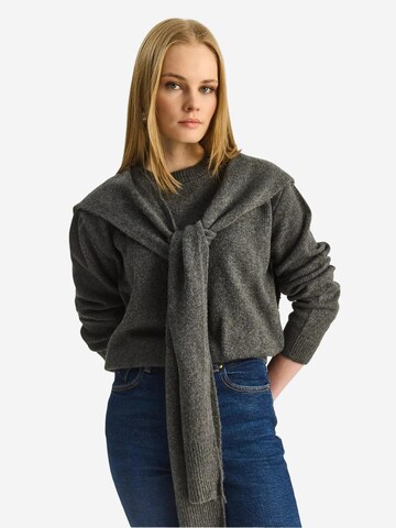 Bianco Lucci Kampsun 'Pullover', värv hall