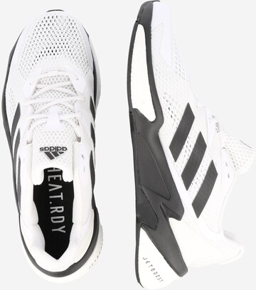 ADIDAS SPORTSWEAR - Zapatillas deportivas bajas en blanco