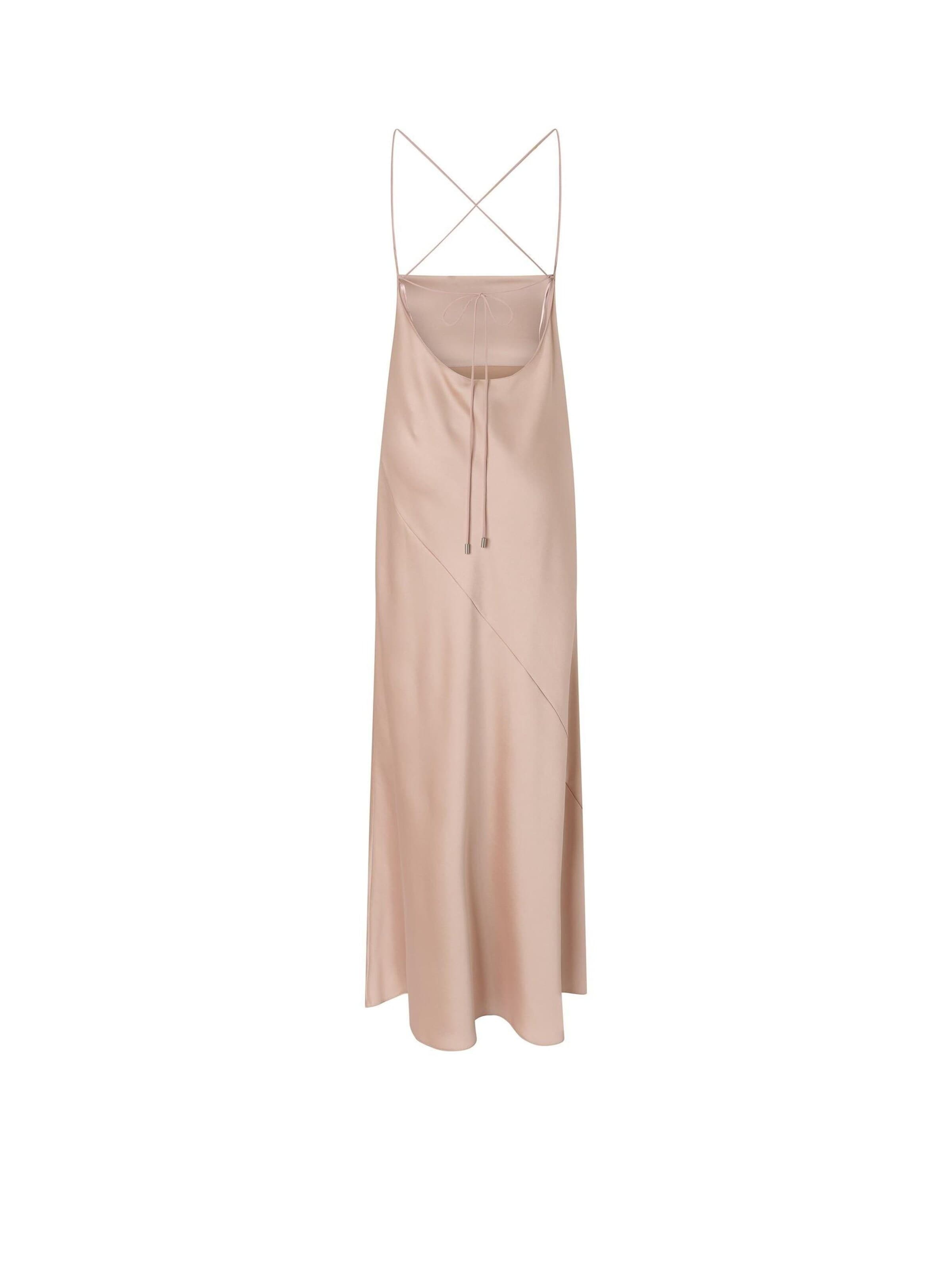 PINKO Kleid '106587 A1Y5'‌‌‌‌ in Beige