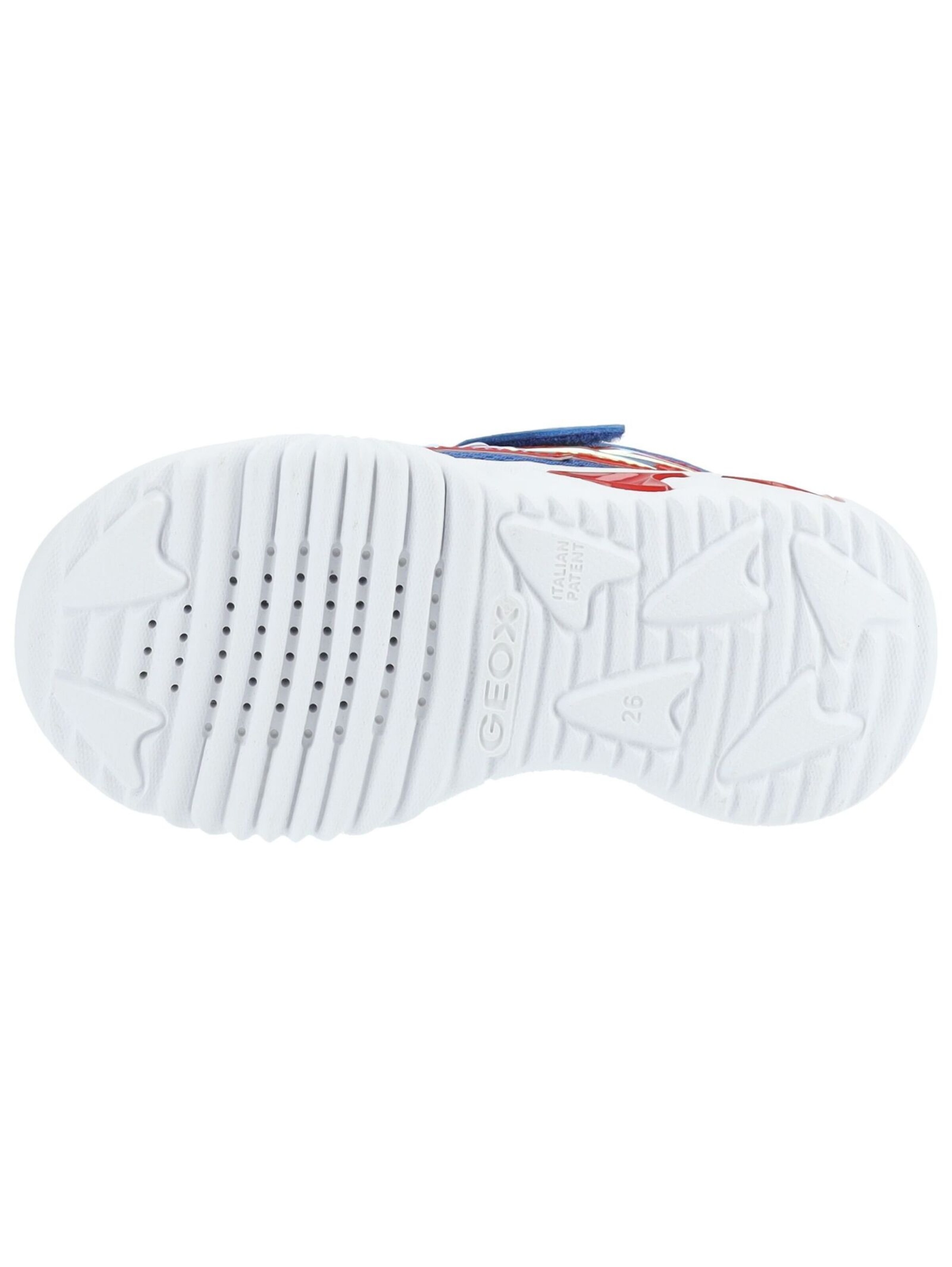 GEOX Sneakers in Blauw