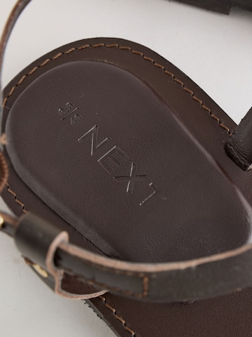 Next Zehentrenner in Braun